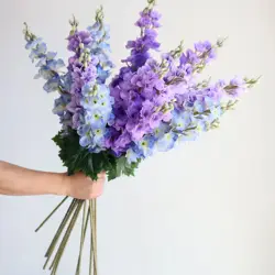 Real Touch Artificial Delphinium Blossom Branch, Blue Purple Spring Florals, Premium Fake Flowers for Wedding Home Holiday Decor