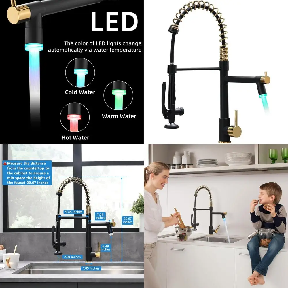 

Black and Gold Pull-Down Spray Kitchen Faucet with Commercial Sink