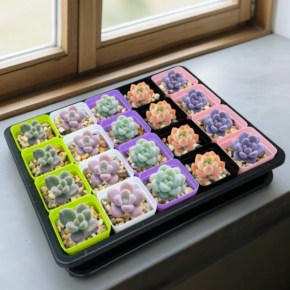 Plastic Seedling Starter Tray Nursery Pots Succulent Garden Propagation Container Greenhouse Planting Box For Home