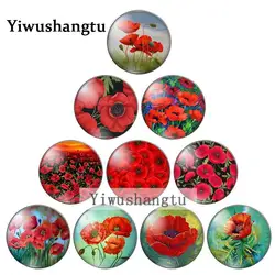 Beauty red poppy flowers gorgeous 8mm/10mm/12mm/18mm/20mm/25mm Round photo glass cabochon demo flat back Making findings ZB0543