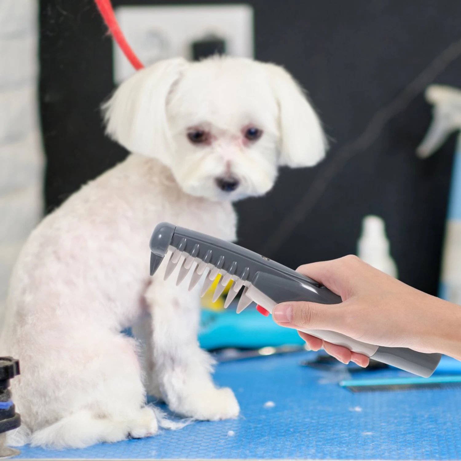 Barbeador elétrico para preparação de cabelo para cães e gatos - Aparador de tosquiadeira