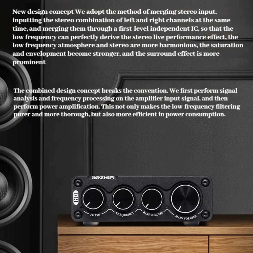 100W HIFI 발열 오디오 전문 서브우퍼 클래스 D 디지털 앰프 고전력 소형 휴대용 홈 오디오 서브 앰프