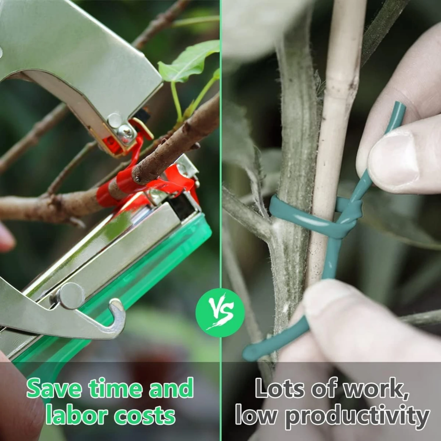 Professional Plant Tying Machine for Efficiently Supporting Climbing Plants - Ideal for Grapes, Raspberries, Tomatoes and Vining