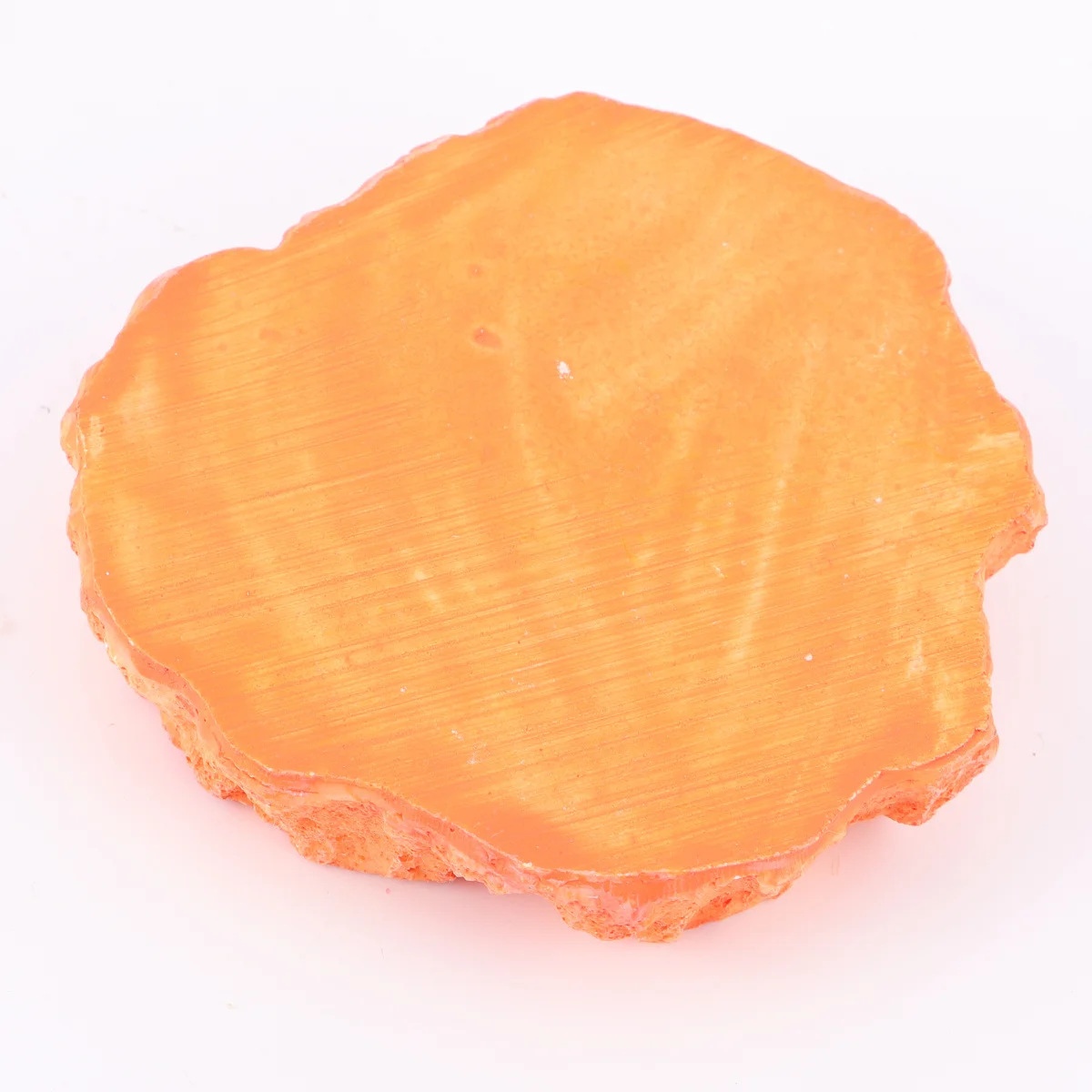 

Lizard Feeder Bowl Thick Reptile Food Water Dish Non-Skid Surface Easy Clean Odorless Feeding Container For Small Crawling