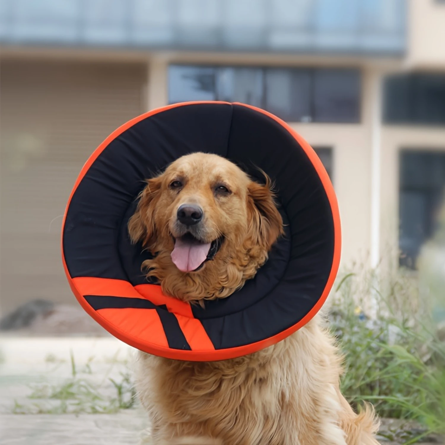 

1pc Adjustable Pet Recovery Collar in Blue and Orange, Protective E-Collar Cone for Large Dogs - Elizabethan Wound Healing Cone