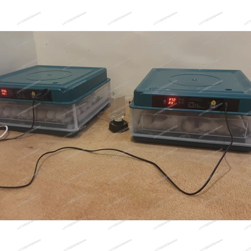 Smart Auto-Water Egg Incubator – Fully Automatic Hatcher for Chicken, Duck, Goose & Pigeon, Ideal for Home & Farm