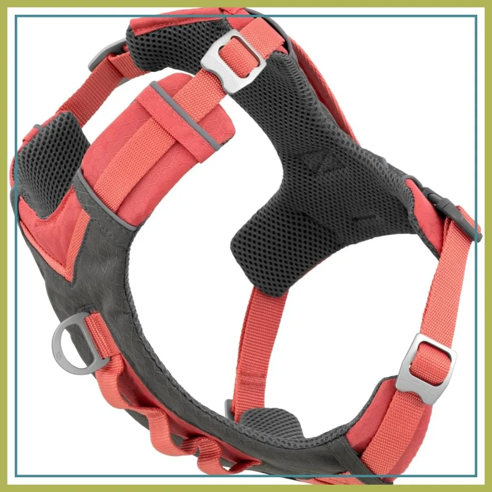 

Secure Fit Dog Harness for Active Dogs - Padded Chest, Lightweight Ripstop, Breathable Mesh, Reflective Trim, Back Handle - Coral - Large