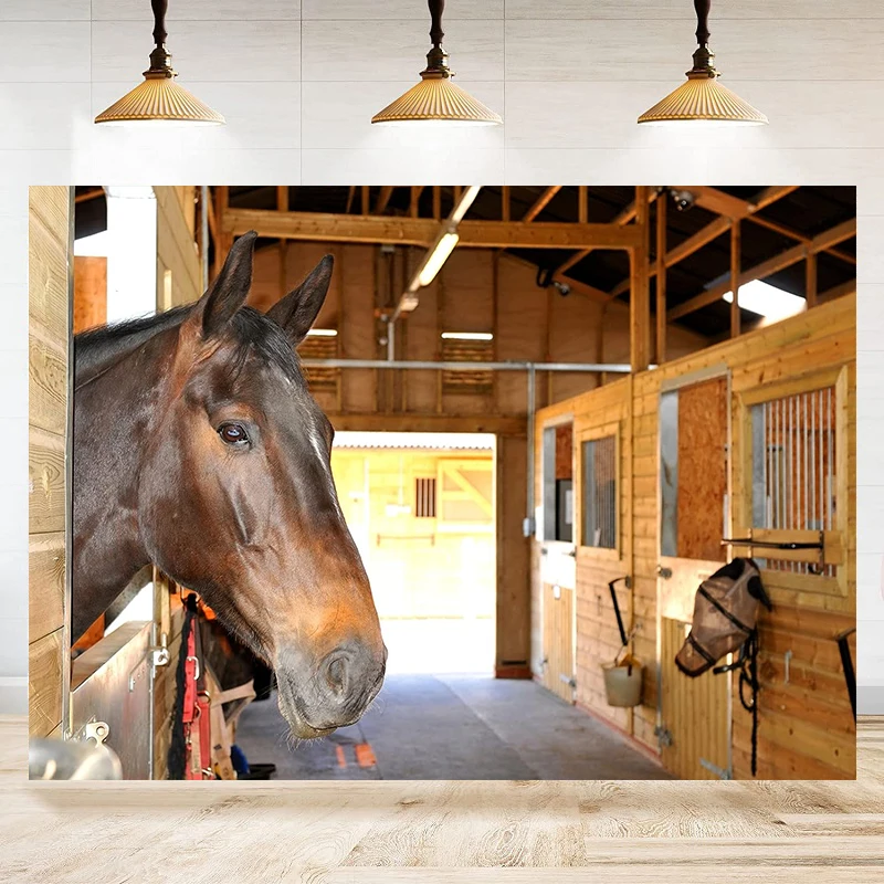 خلفية التصوير الفوتوغرافي الغربية المستقرة لمزرعة الحصان الرياضة Paddock الفروسية مزرعة سباق الخيل خلفية الديكور راية