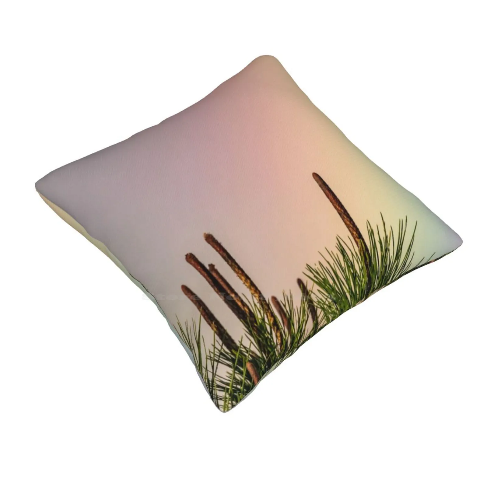 Spectators Fashion Sofa Throw Pillow Cover Pillowcase Grey Growing Needle Overcast Pine Rainbow Sky Tips Top Tree