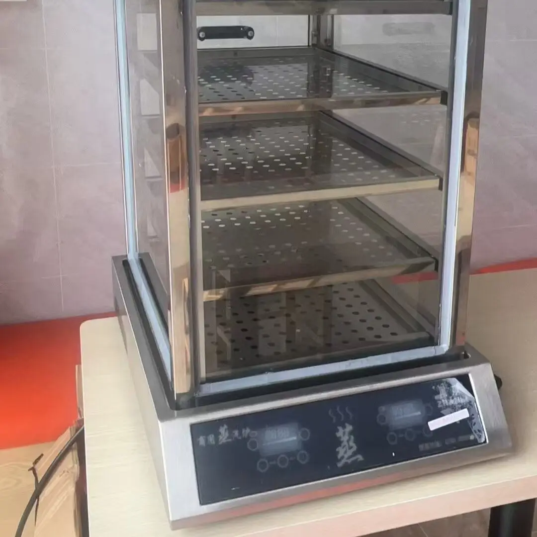 Electric Steamer Ho…