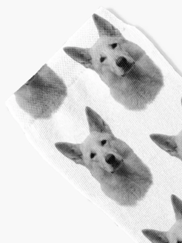 White German Shepherd Socks New year's cotton Designer Man Socks Women's