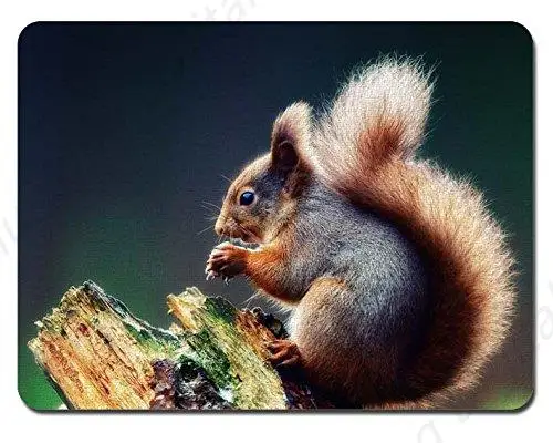 Squirrel Cute Animal Pattern Mouse Pad Suitable For Rubber Home Office Desktop Laptop Non Slip Mouse Pad 18*22cm