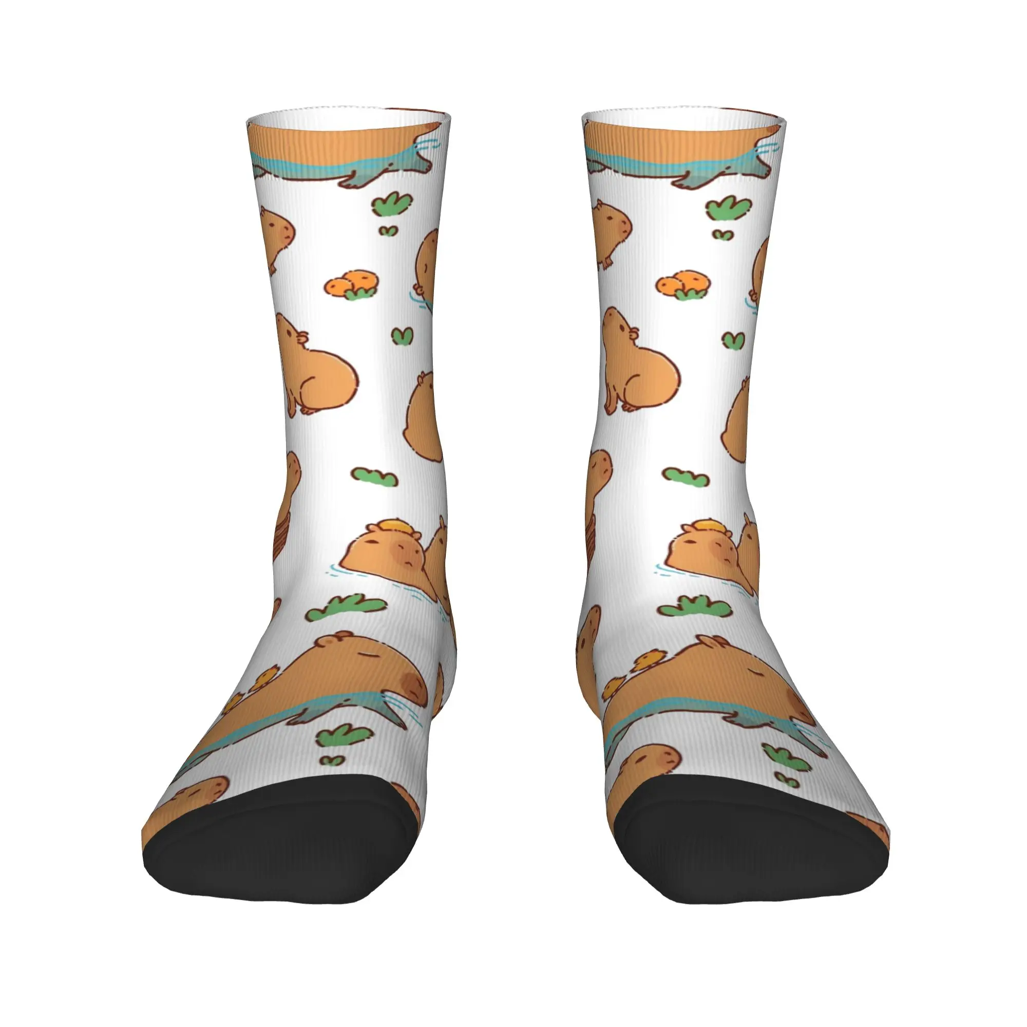 أزياء الرجال الجوارب المتناثرة لطيف كابيبارا جورب البوليستر الرياضة المرأة جوارب الربيع الصيف الخريف الشتاء