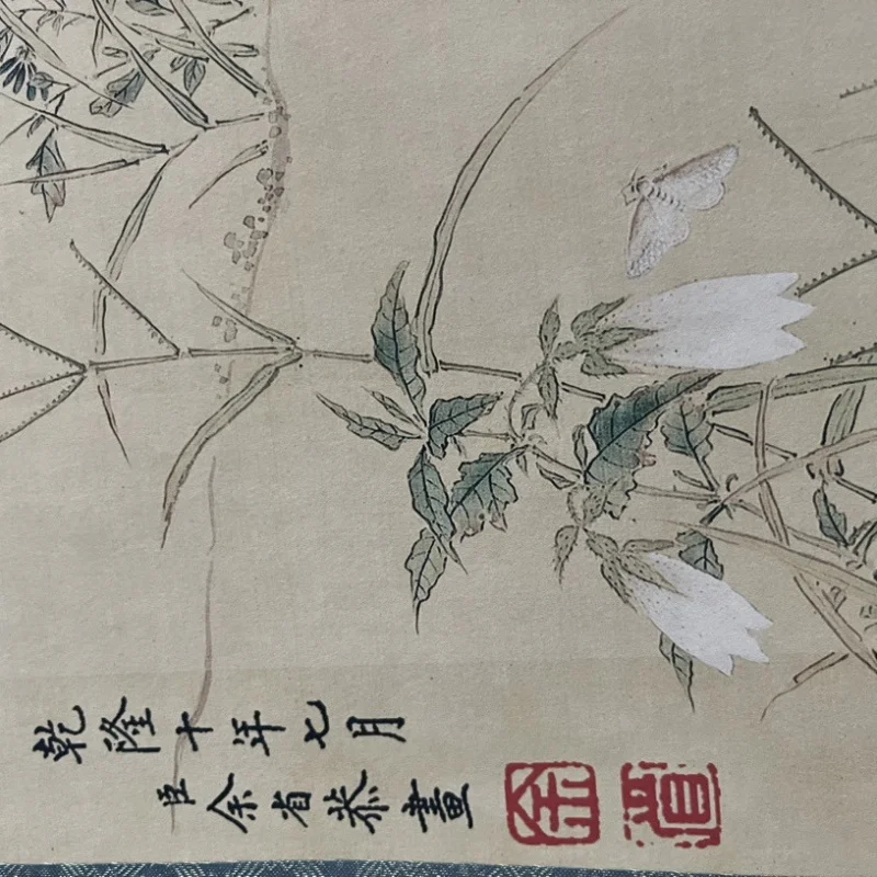 Antique-style Celebrity Calligraphy and Painting Wall Art Scroll Painting Yu Province Butterfly Chart Living Room Decorative Pai