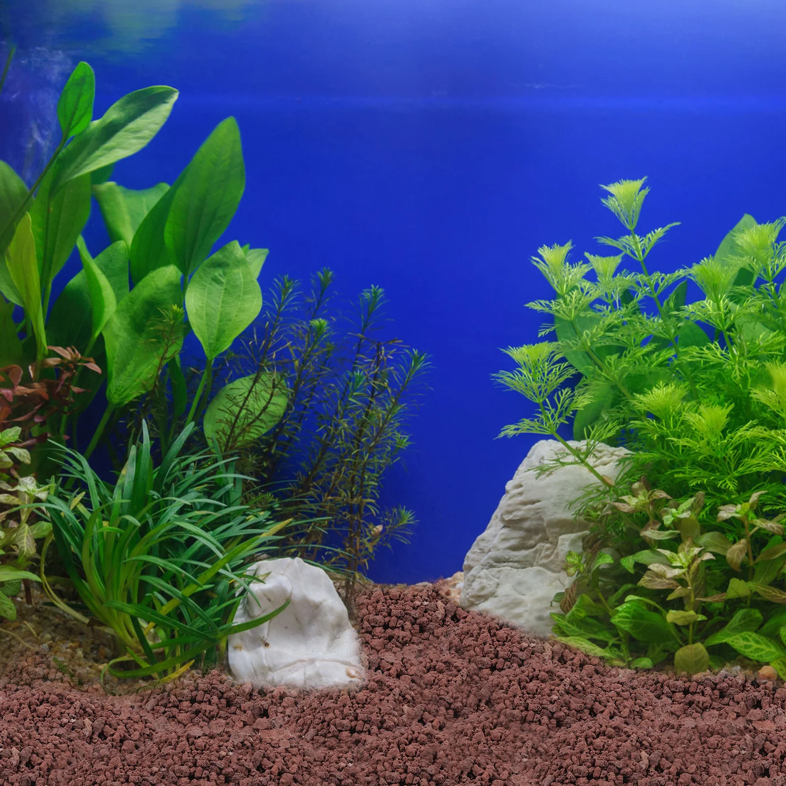 

5pcs Volcanic Stones 300g Natural for Aquarium Plant Bedding Garden Art DIY Succulents Fish Tank L scaping