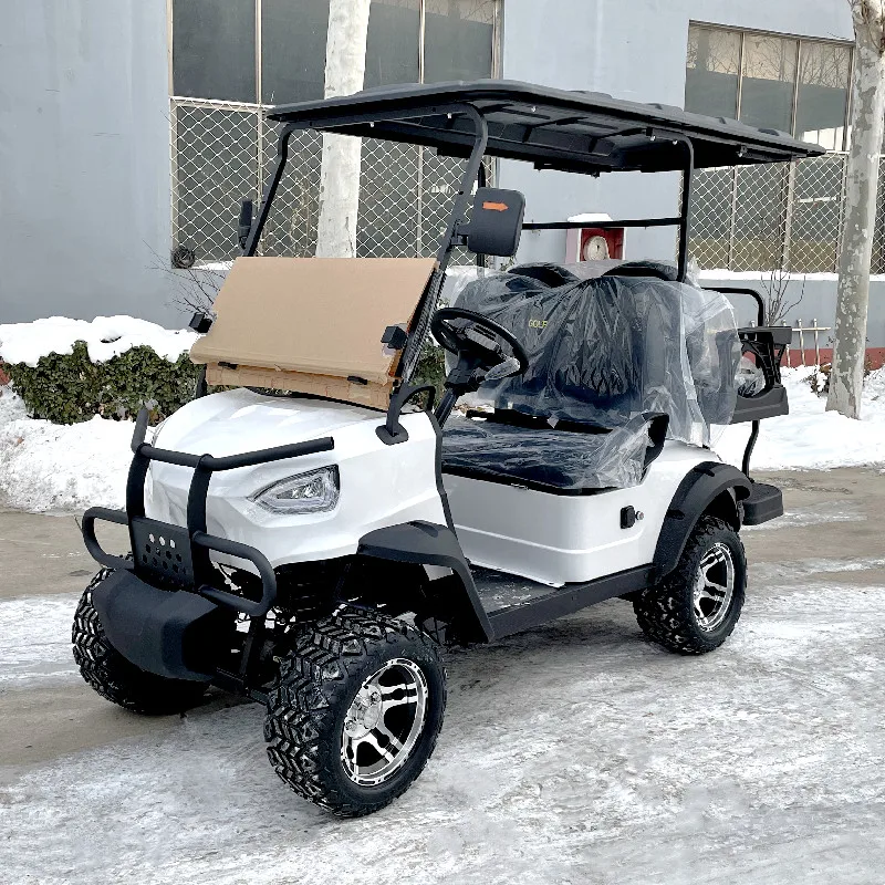 Factory Provided Odm Service 2 4 6 Seater Mini Electric Golf Cart With Lithium Battery And Glovebox Solar Club Buggy