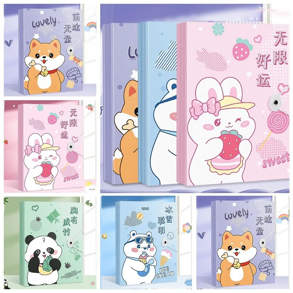 

Reusable Plastic Archives Bag Transparent Bag 30 Pages File Folder A4 Large Capacity File Storage Bag Art Collection