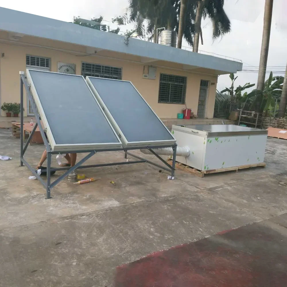 Multifunction Solar Dryer Vegetable Fish Plant Seed Drying Machine