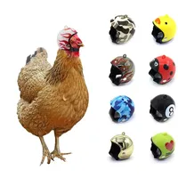 Parrot Helmet Pigeon Hat Bird Pet Protective Gear Sunscreen Rain Helmet Toy Bird Small Pet Supplies Clothing Accessories 앵무새