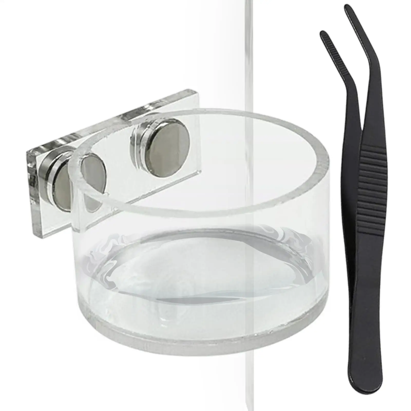 #4 Reptile Water Bowls Comparison Guide