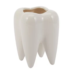 Tooth Shape White Ceramic Flower Pot Modern Design Planter Teeth Model Mini Desktop Pot Gift(without plants)