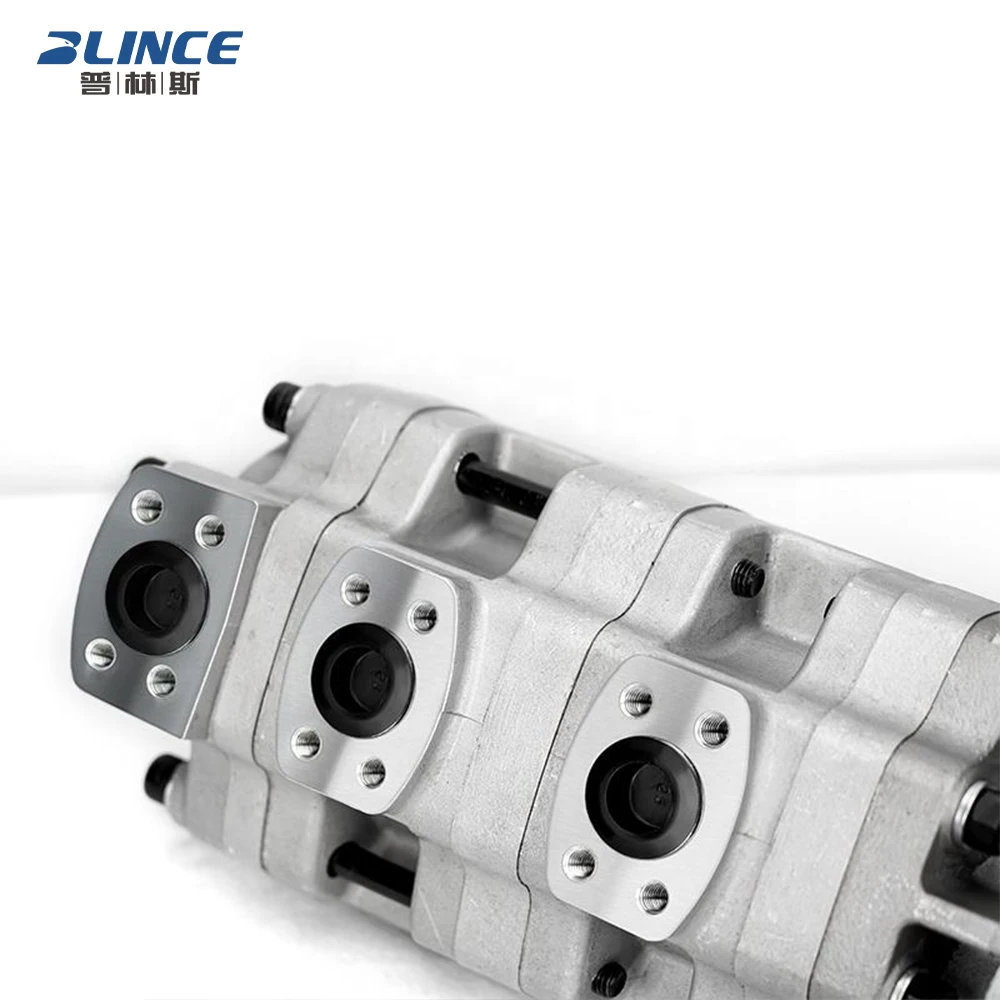 Blince GPC4-20 Gear Pump Hydraulic Double High Pressure Mini Excavator Piston  Pump Repair Kit for Komatsu Parker Bulldozer