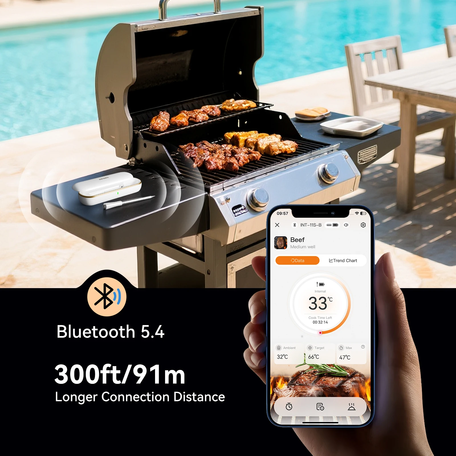 Inkbird Smart Wirel… - image