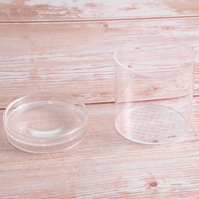 Tasse d'Observation d'Insectes, Loupe d'Insectes, Boîte d'Alimentation Fuchsia, Tube d'Observation Naturel, 1 Ensemble