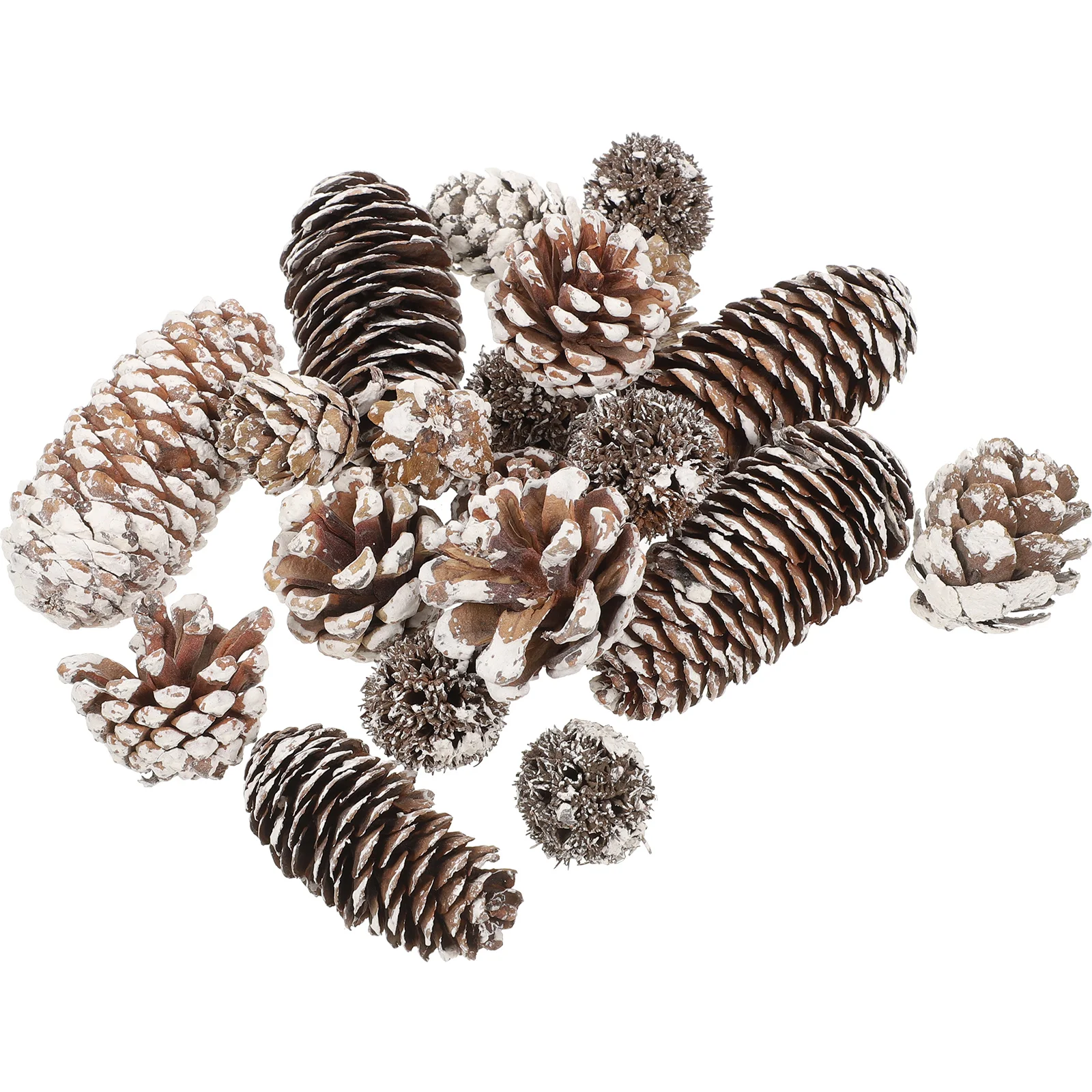 Handmade Materials Bulk Dried Pine Cone Christmas nament Decorative Home Table Scatters Crafts Real Pinecones Safe Use