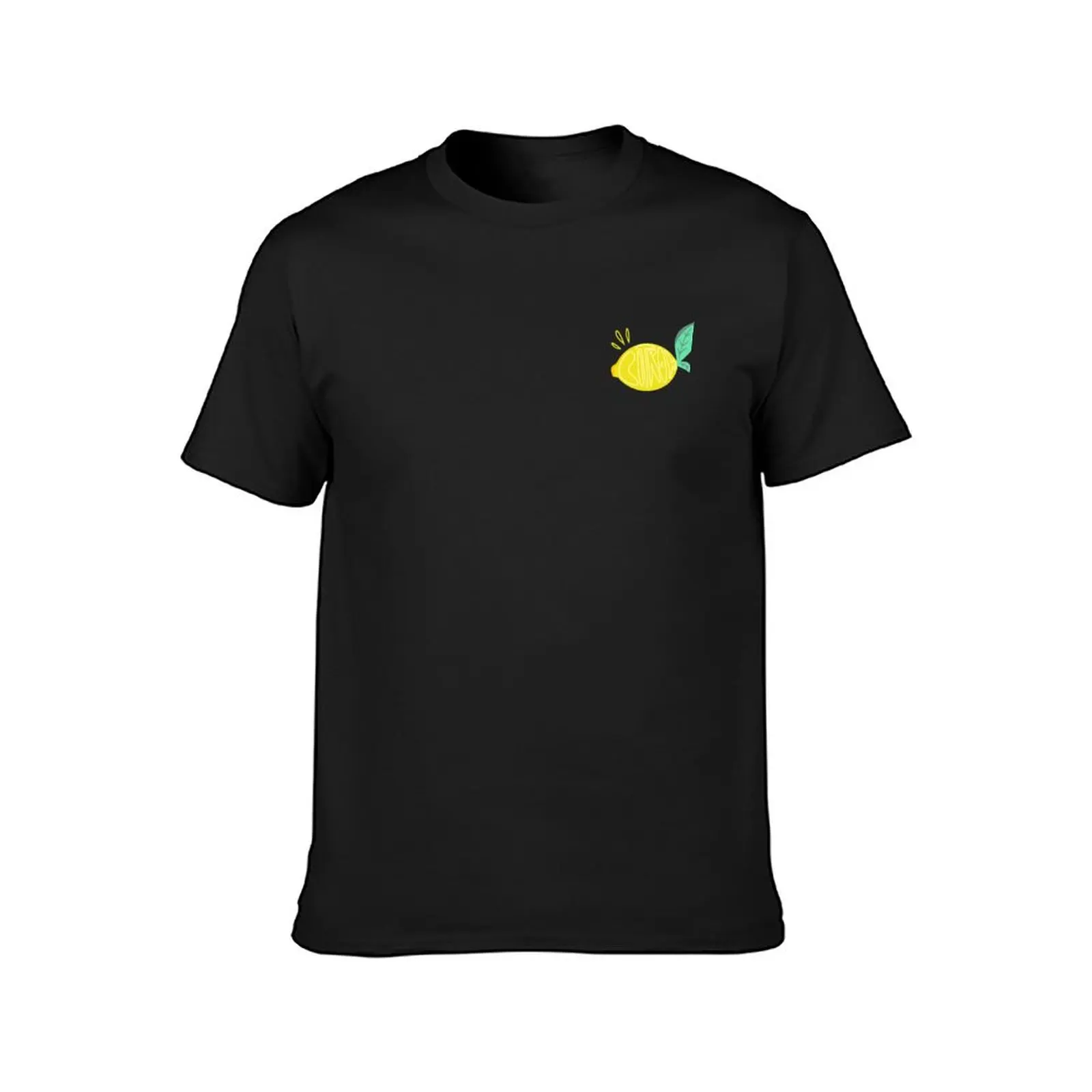 Lemon T-Shirt Aesthetic clothing animal prinfor boys mens big and tall t shirts