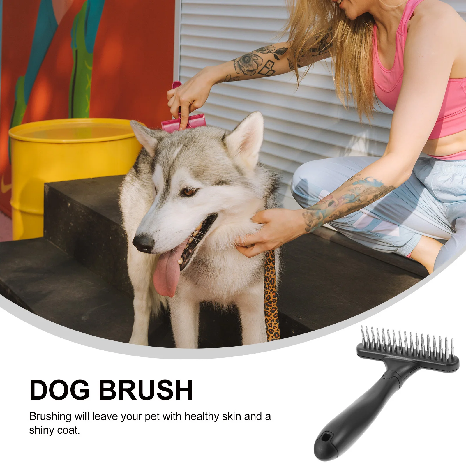

Double Rows Plastic Pet Comb Dog Cat Stainless Steel Grooming Comb for Dogs Puppy Removes Mats Tangles Stimulates Skin Hair