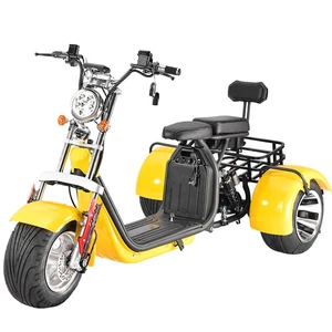 Erwachsene Reifen Erwachsene Trikes, Fahrzeug drei läuft die 12 Hauptverkaufsmotorcycle Electric Electric Adult - №10