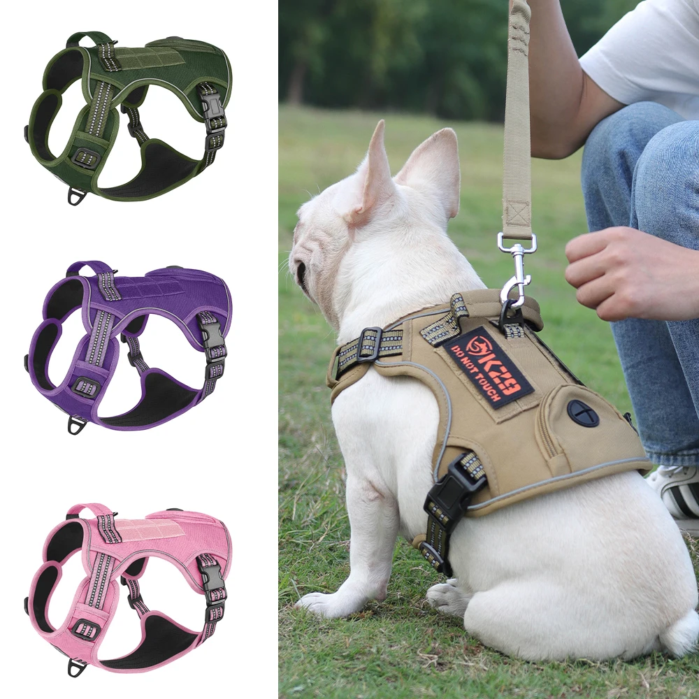 #40 Puppy Training Collars Comparison Guide