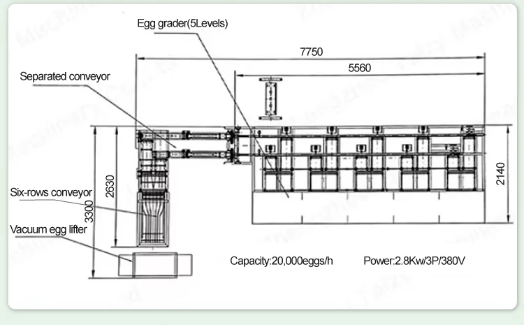 ماكينة تصنيف البيض بقدرة 2000-30000 ساعة، ماكينة فرز وزن الدواجن الصناعية، معدات تربية الدواجن