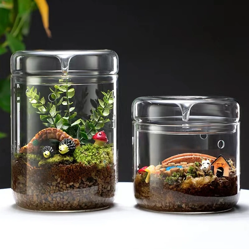 Glazen Flessen Creativiteit Dauw Collectie Glazen Vaas Micro Landschap Sappige Mos Bansai Landschap Terrarium Home Decorati