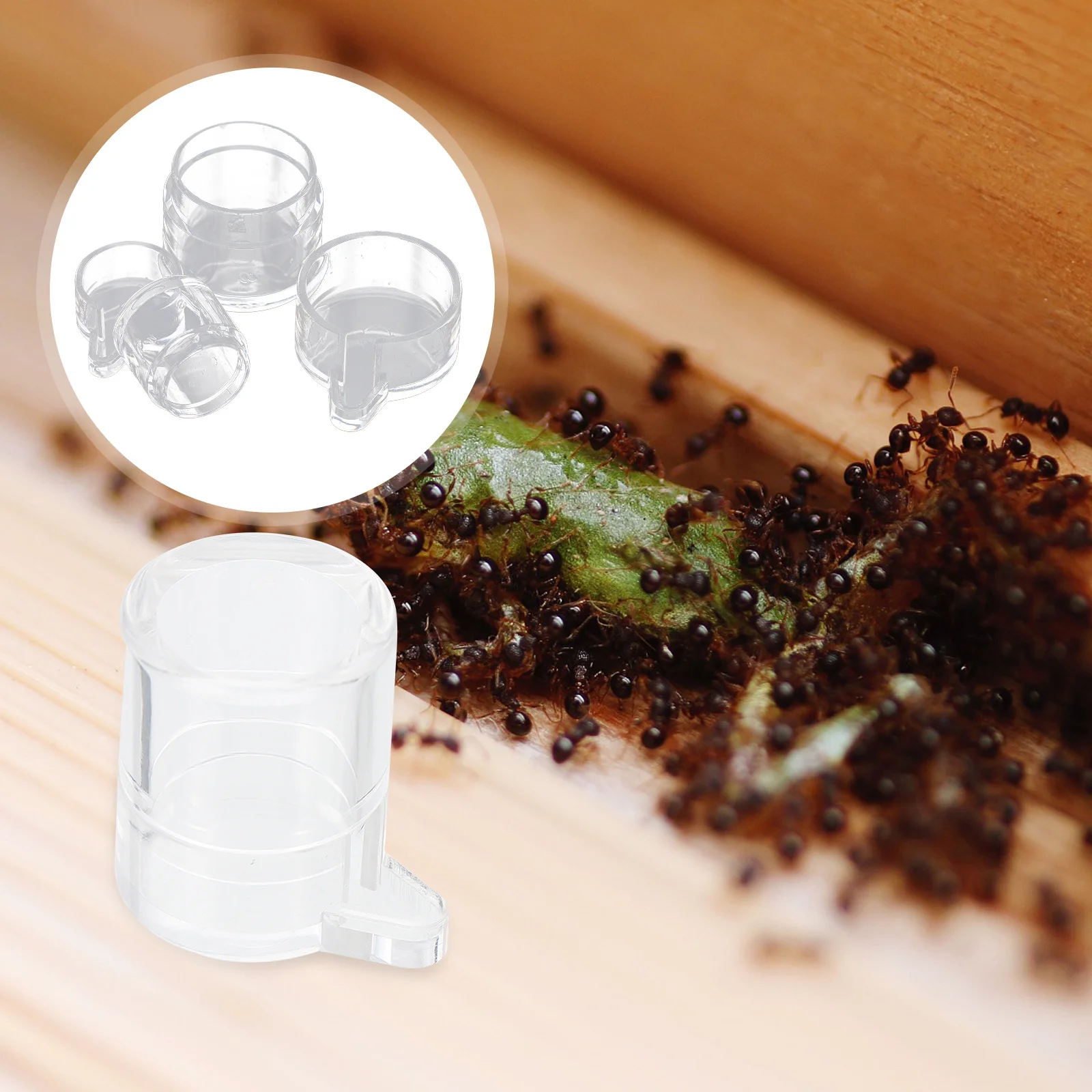 

2pcs Feeding Bowl Transparent Acrylic Mini Ant Feeding Bowl Feeder For Nest Visible Drinking Container Tool