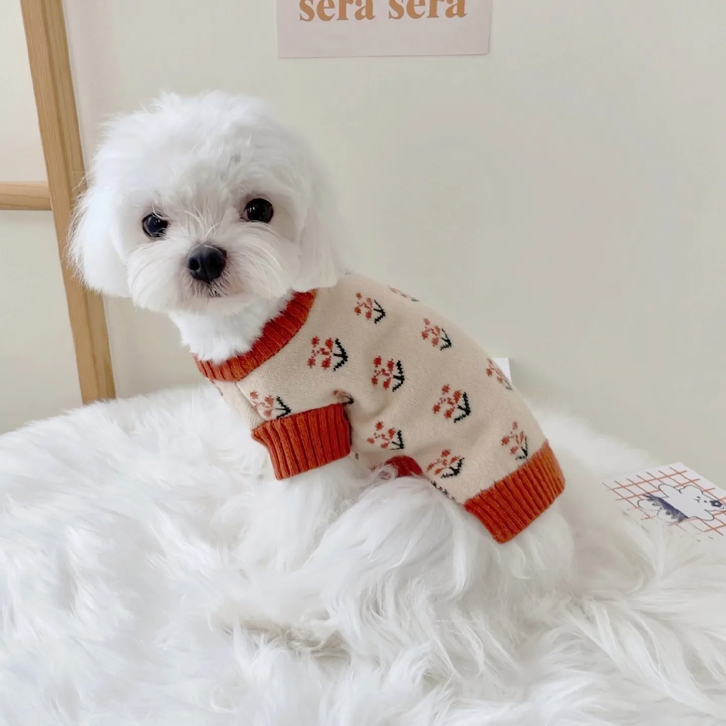 

Red Flower Sweater Pet Puppy Autumn and Winter Clothes Teddy Warm Pullover Bichon Frise Fashion Knit Sweater Dog Products