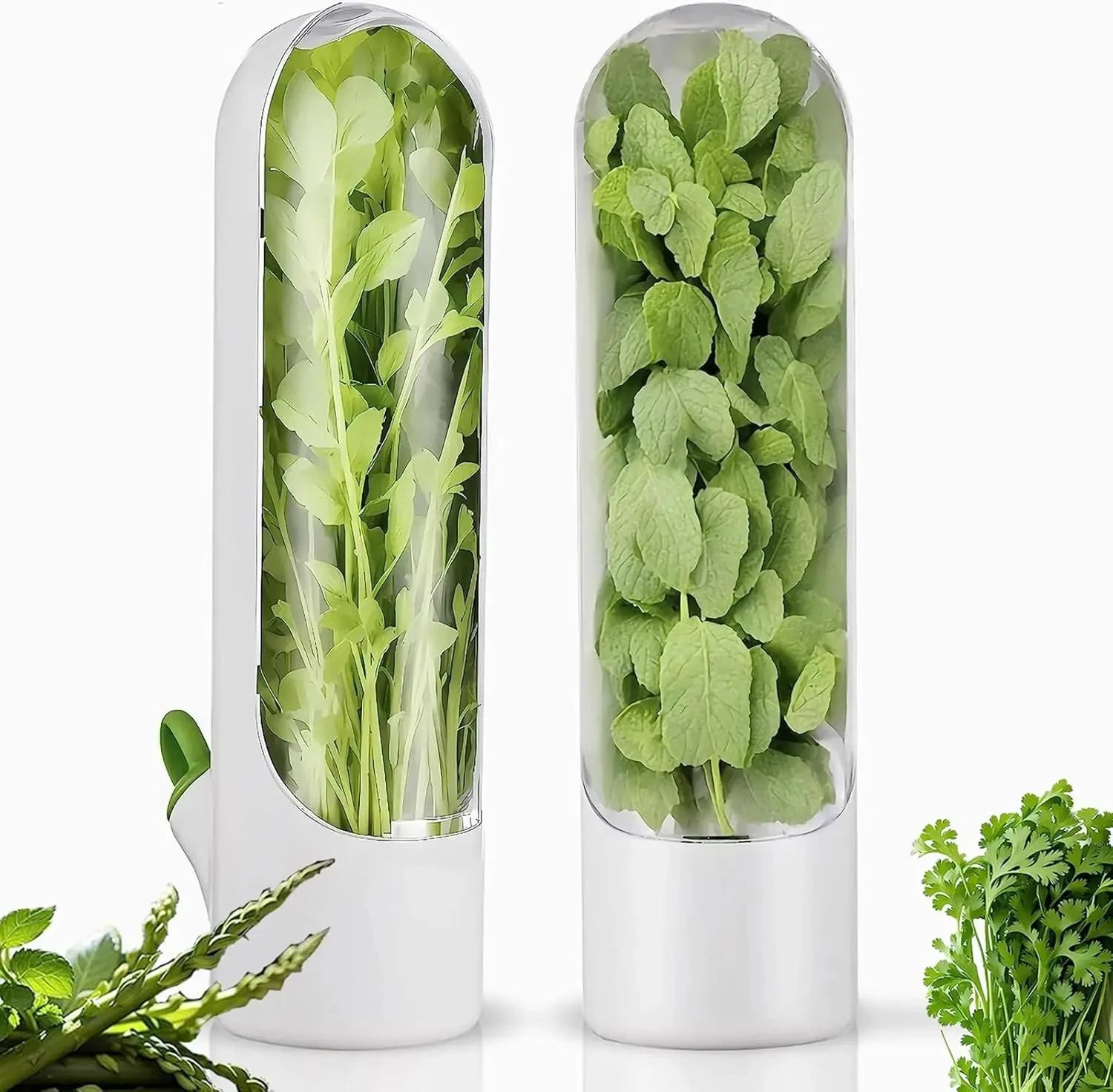 Contenedor de coentro fresco de hierbas para refrigerador, hierbas, perejil, aspargos, caja de almacenamiento de menta, mantiene las verduras frescas durante 2-3 semanas