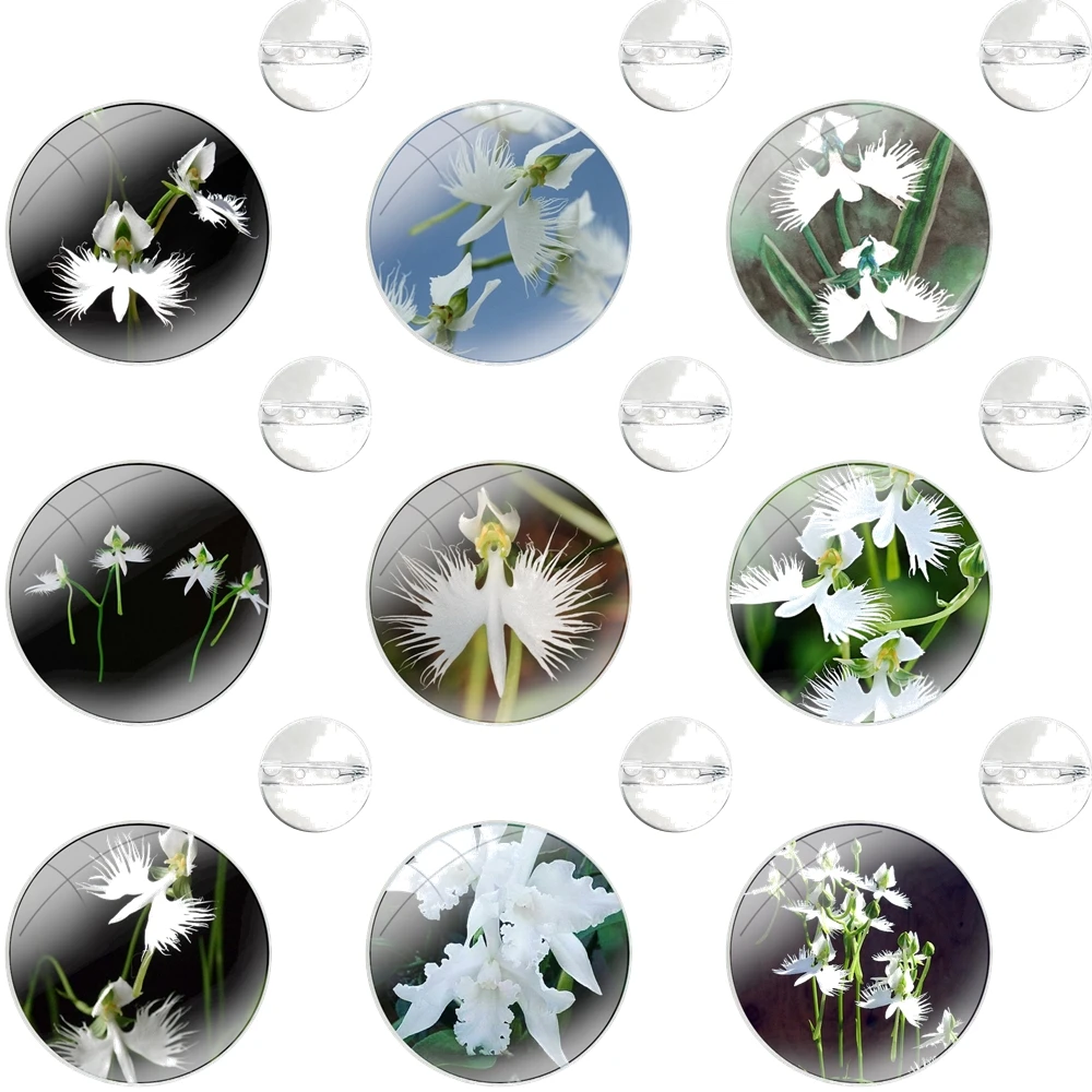 White Egret Orchid Flower Radiata Pins Badge Metal Brooches For Clothes Backpack Decoration gift