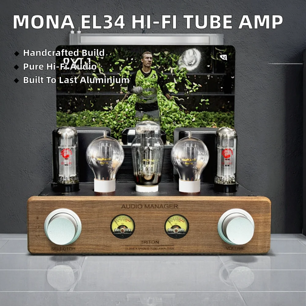 MONA Upgraded EL34 Tube Amplifier Hand-Wired Pure Class 2.0 Channel Paired Aluminium Hi-Fi Bookshelf Speakers Home Enthusiast