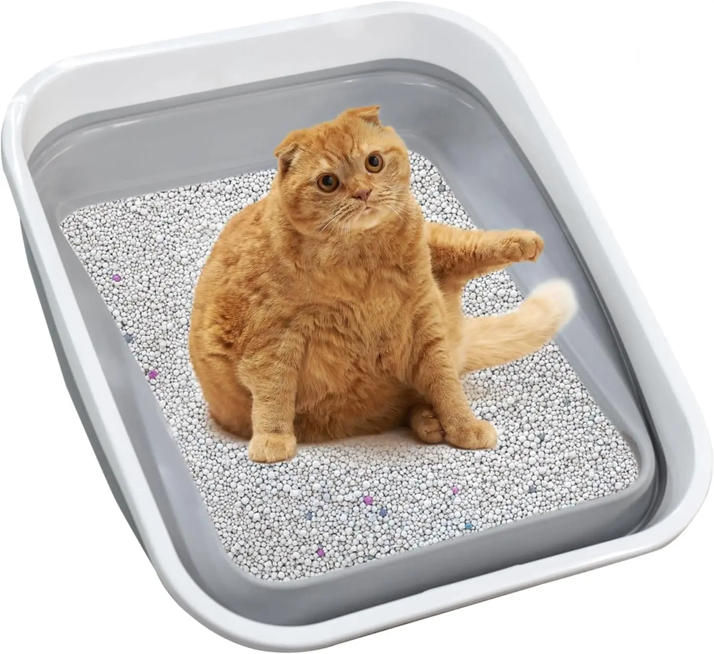 

Foldable Cat Litter Box for Kittens to Senior Cats, Large Capacity, Easy Clean with Scoop, Grey