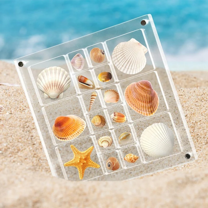 Magnetic Seashell Display Box, Seashell Storage Box Decorative Box For Seashell Starfish Trinket, Bead, Nail, Jewelry