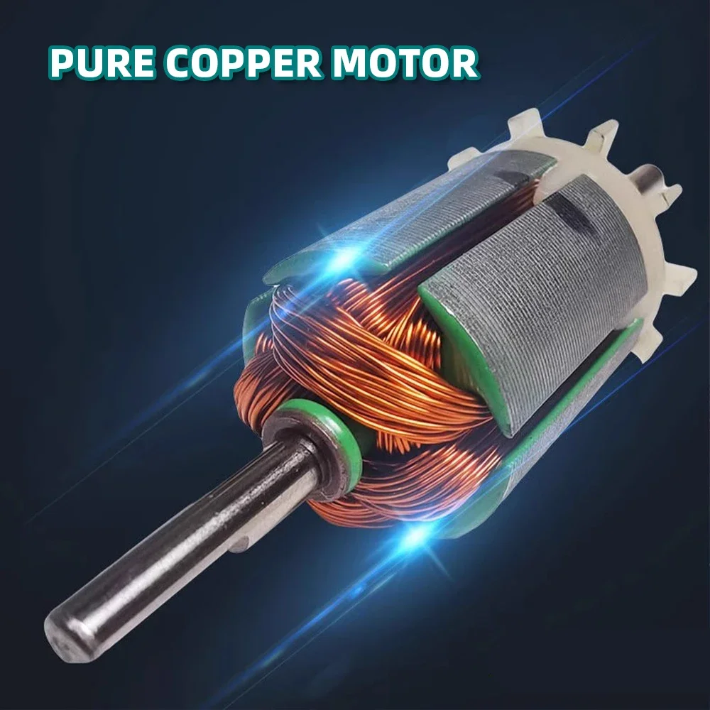 Customizable 12V Agricultural Electric Sprayer Water Pump Motor High Pressure Pesticide