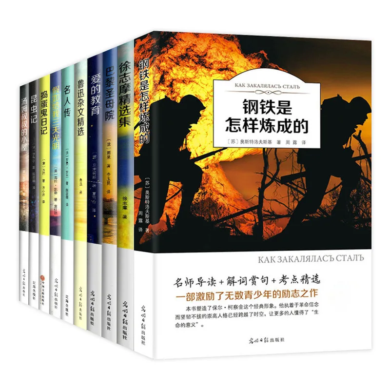 How Steel Is Tempered: Biographies of Celebrities and Extracurricular Reading Books for Primary and Secondary School Students
