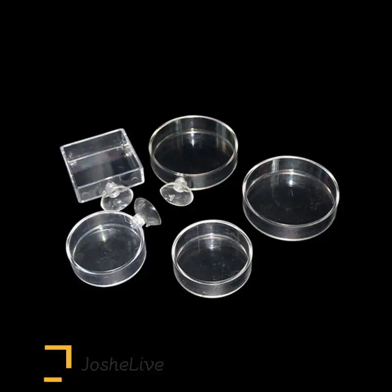 Clear Acrylic Shrimp Feeder Food Dish Aquarium Fish Tank Feeding Cup Fish Feeder Brine Shrimp Eggs Food for Aquarium Accessories