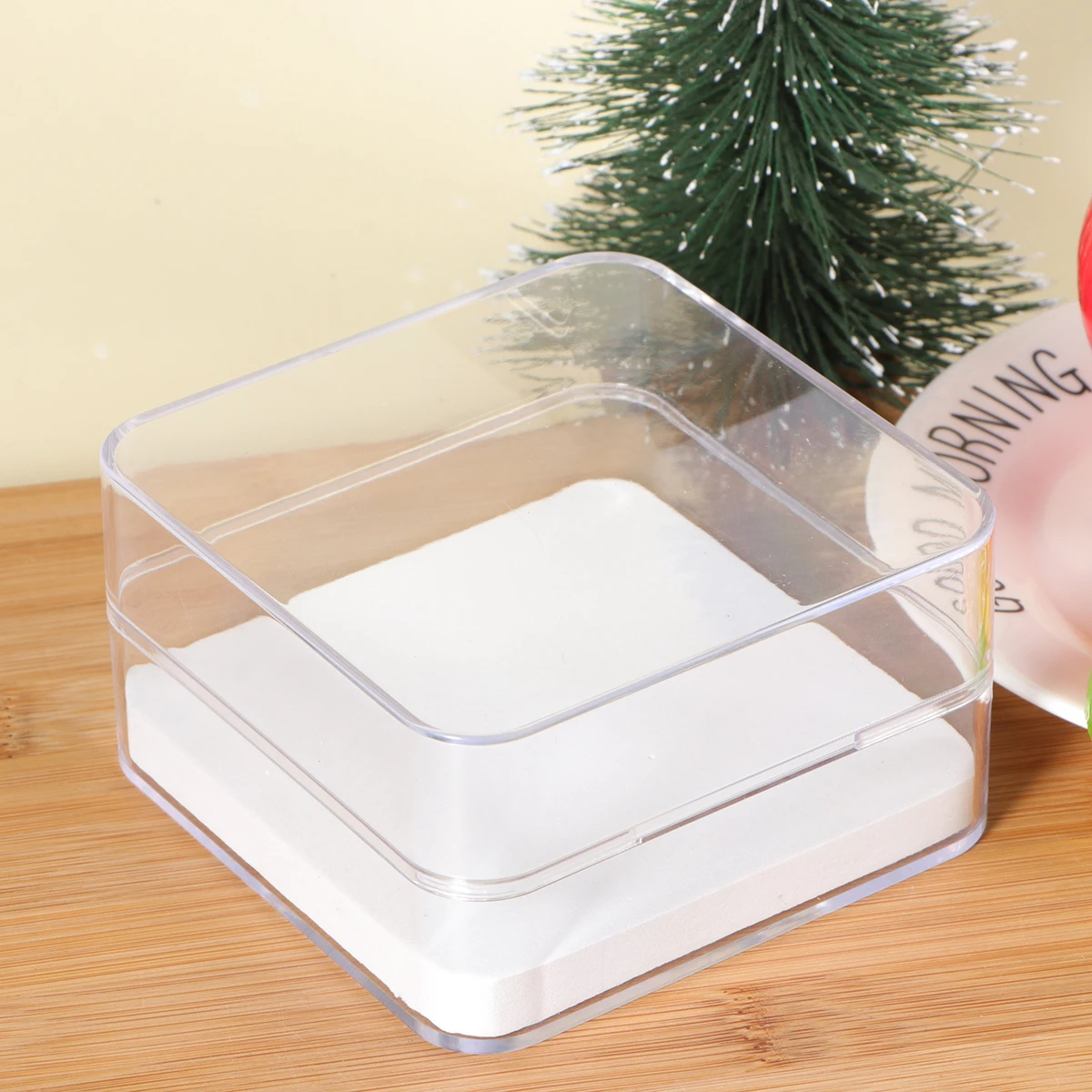 

1pc Specimen Box Transparent Storage Case Insects Jewelry Coins Crafts Display Lids Premium Material Plant Container