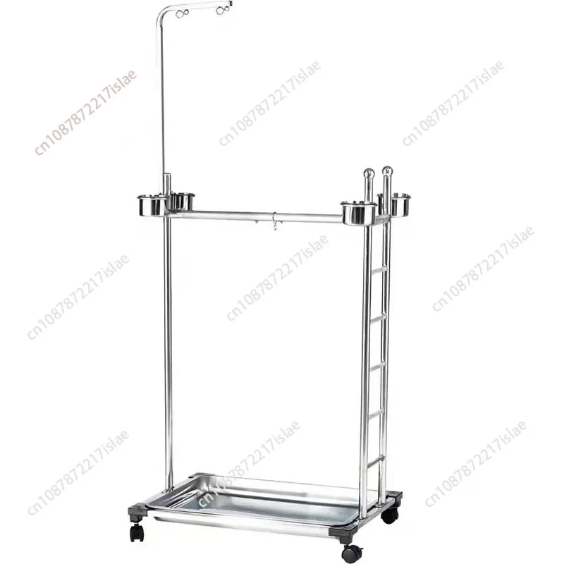 Parrot Stainless St…