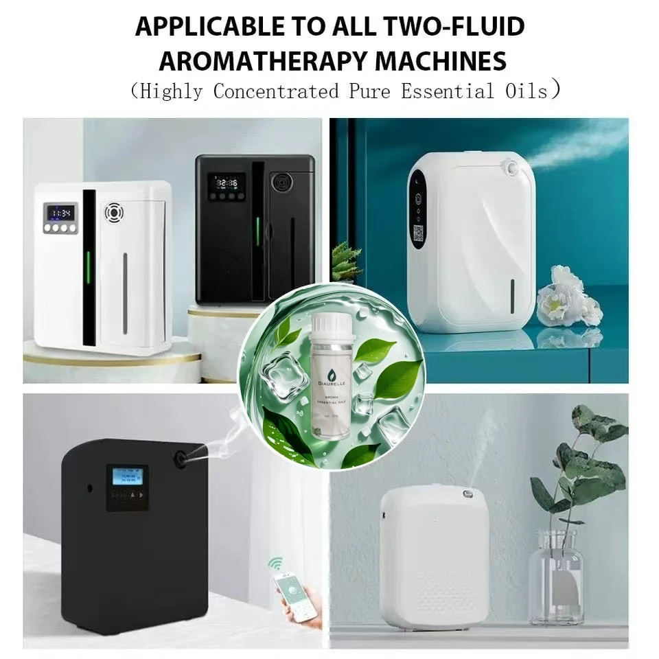 100ML Famous France Perfume Oil Men Women Fragrance Oasis Essential Oil Aromatherapy Aroma Diffuser Oil DLor Ton Foud Oud Wood