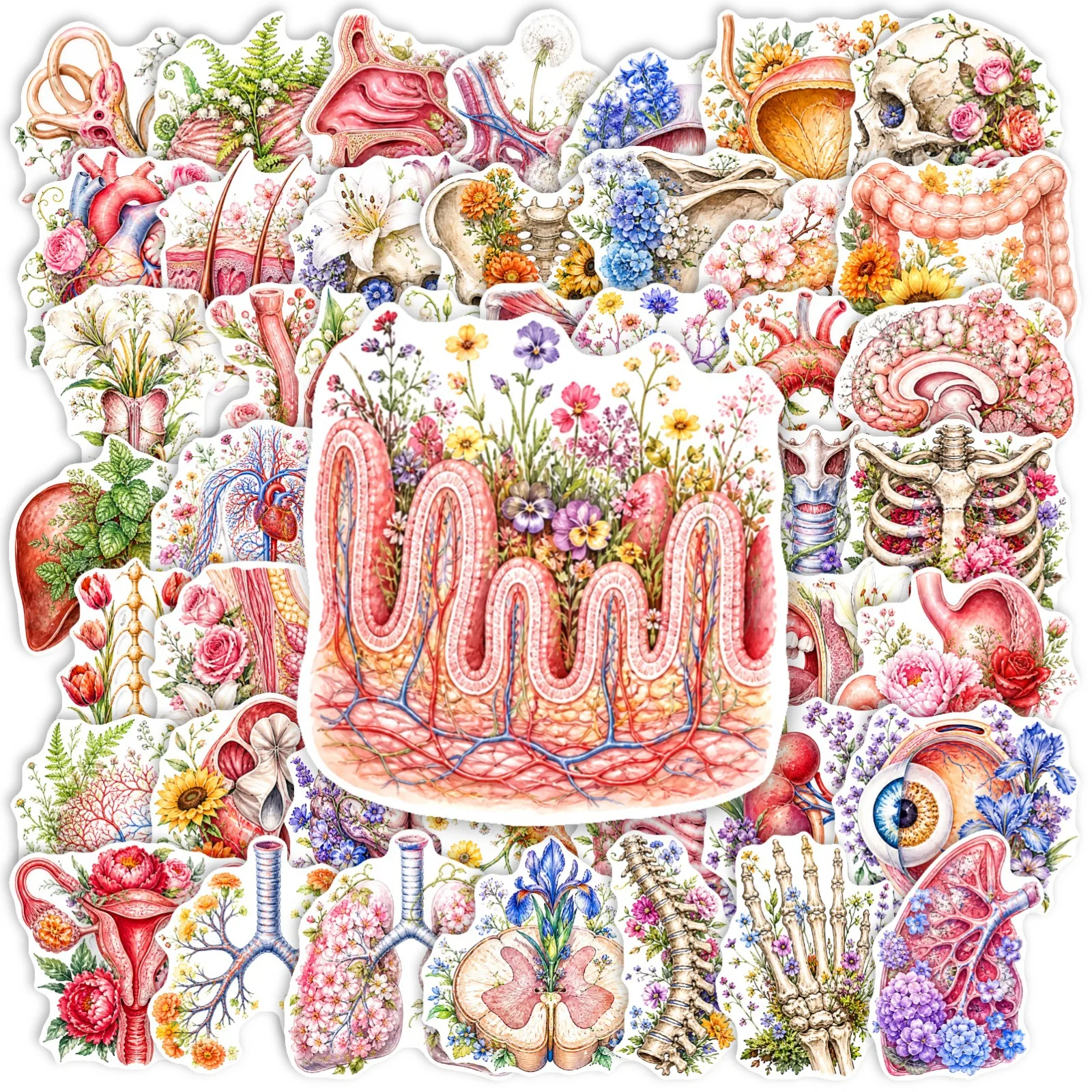 50 Pcs Floral Human Organ Stickers Creative Waterproof Vinyl Decals for Journal Laptop Phone Case Water Bottle Gift