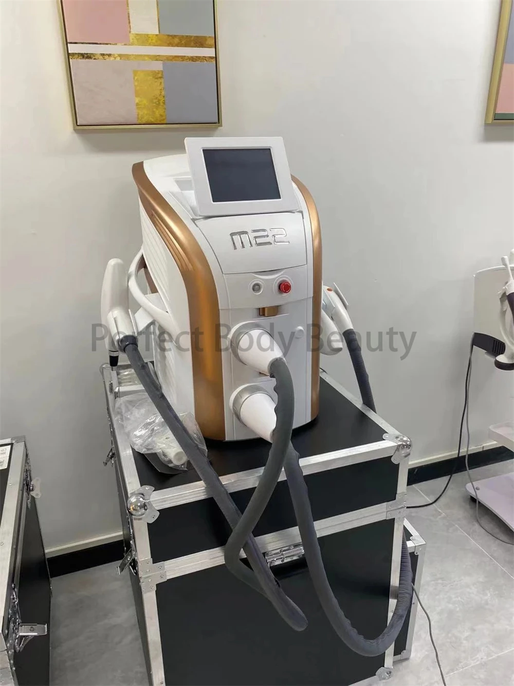 Newes-Machine d\'épilation 2 en 1 IPL M22, laser super photon IPL, opt cicatrices, élimination de l\'acné, équipement de salon de beauté